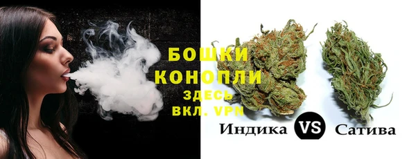 гидропоника Белоозёрский