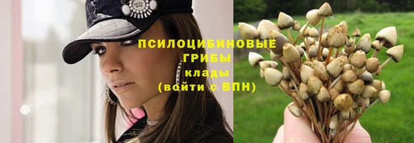 крисы Беломорск