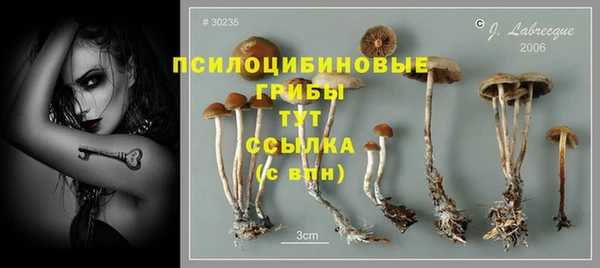 mix Белокуриха