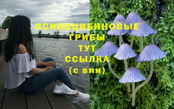 mix Белокуриха