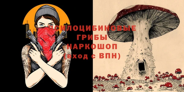 гидропоника Белоозёрский